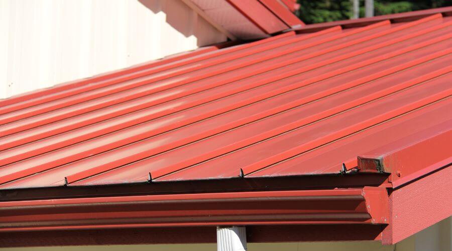 Professional gutter cleaning services in New Burnside, IL